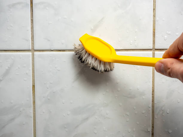 Best Localized Mold Remediation (e.g., coastal areas, humid climates) in Holstein, IA