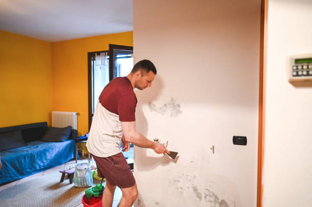 Best DIY Mold Remediation Support Services in Holstein, IA